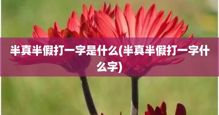 半真半假打一字是什么(半真半假打一字什么字)