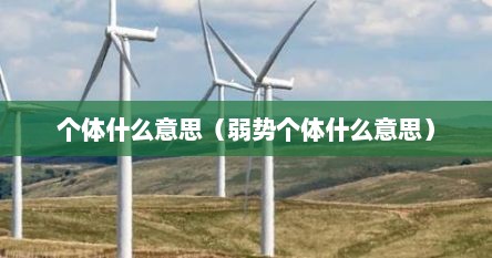 个体什么意思（弱势个体什么意思）