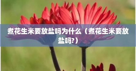 煮花生米要放盐吗为什么（煮花生米要放盐吗?）