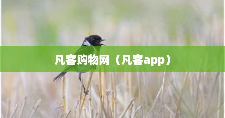 凡客购物网（凡客app）