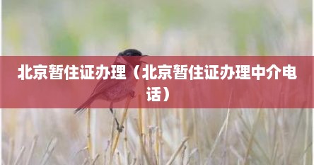 北京暂住证办理（北京暂住证办理中介电话）