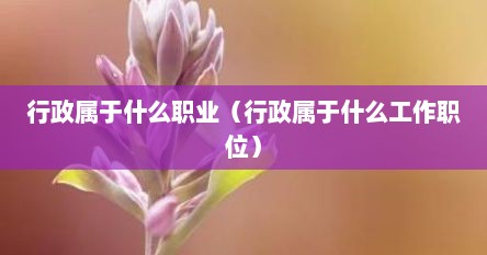 行政属于什么部门什么岗位（行政是什么工作要什么学历）