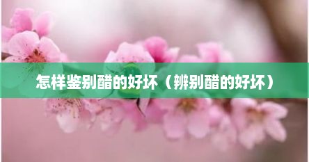 怎样鉴别醋的好坏（辨别醋的好坏）