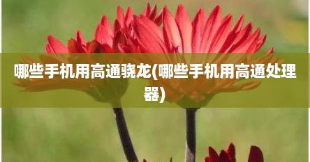 哪些手机用高通骁龙(哪些手机用高通处理器)