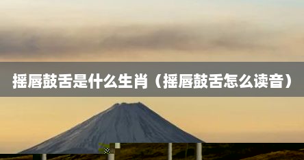 摇唇鼓舌是什么生肖（摇唇鼓舌怎么读音）