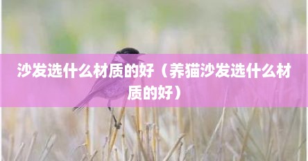 沙发选什么材质的好（养猫沙发选什么材质的好）