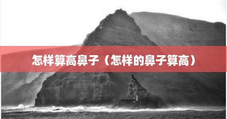 怎样算高鼻子（怎样的鼻子算高）