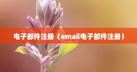 电子邮件注册（email电子邮件注册）