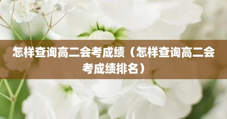 怎样查询高二会考成绩（怎样查询高二会考成绩排名）