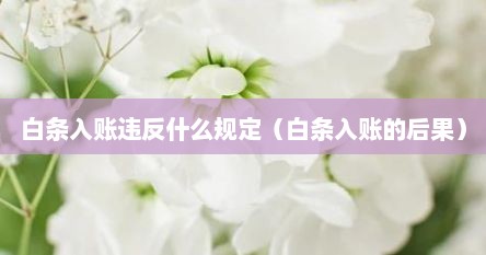白条入账违反什么规定（白条入账的后果）