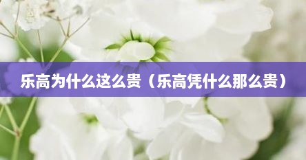 乐高为什么这么贵（乐高凭什么那么贵）