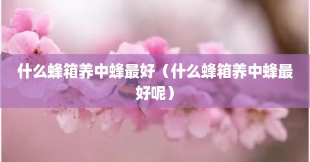 什么蜂箱养中蜂最好（什么蜂箱养中蜂最好呢）