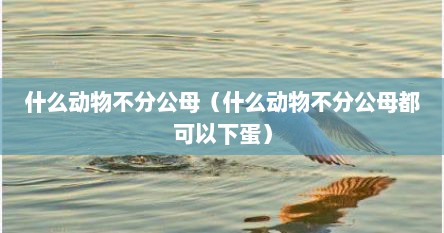 什么动物不分公母（什么动物不分公母都可以下蛋）
