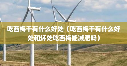 吃西梅干有什么好处（吃西梅干有什么好处和坏处吃西梅能减肥吗）