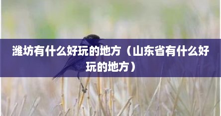 潍坊有什么好玩的地方（山东省有什么好玩的地方）