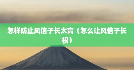 怎样防止风信子长太高（怎么让风信子长根）