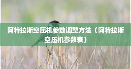 阿特拉斯空压机参数调整方法（阿特拉斯空压机参数表）