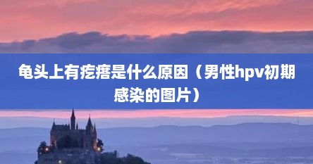 龟头上有疙瘩是什么原因（男性hpv初期感染的图片）