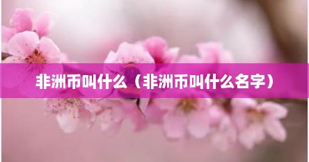 非洲币叫什么（非洲币叫什么名字）
