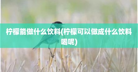 柠檬能做什么饮料(柠檬可以做成什么饮料喝呢)