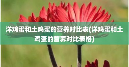 洋鸡蛋和土鸡蛋的营养对比表(洋鸡蛋和土鸡蛋的营养对比表格)