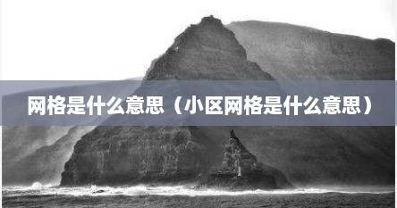网格是什么意思（网格是什么意思网络流行语）