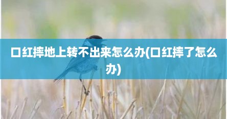 口红摔地上转不出来怎么办(口红摔了怎么办)