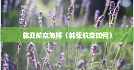 韩亚航空怎样（韩亚航空如何）