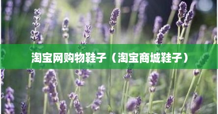 淘宝网购物鞋子（淘宝商城鞋子）