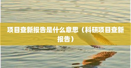 项目查新报告是什么意思（科研项目查新报告）
