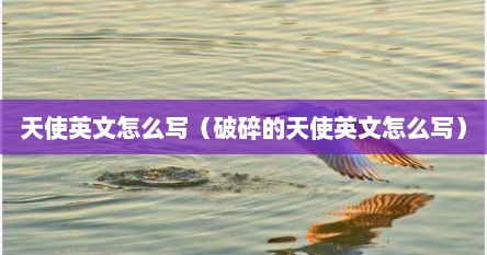 天使英文怎么写（破碎的天使英文怎么写）