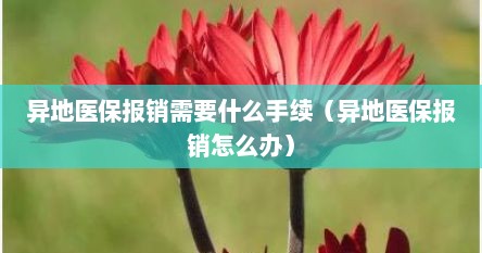 异地医保报销需要什么手续（异地医保报销怎么办）