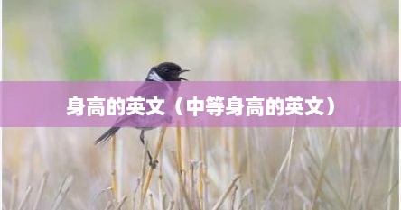 身高的英文（中等身高的英文）