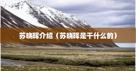 苏晓晖介绍（苏晓晖是干什么的）