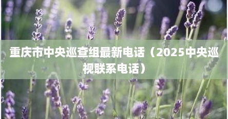 重庆市中央巡查组最新电话（2025中央巡视联系电话）