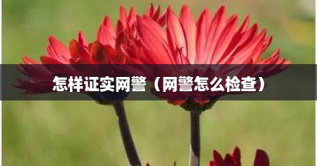 怎样证实网警（网警怎么检查）