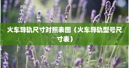 火车导轨尺寸对照表图（火车导轨型号尺寸表）
