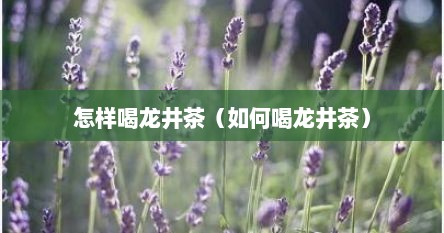 怎样喝龙井茶（如何喝龙井茶）