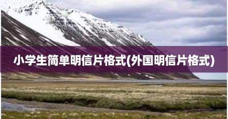 小学生简单明信片格式(外国明信片格式)