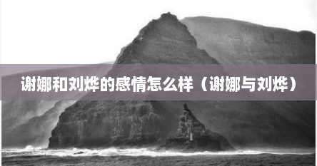 谢娜和刘烨的感情怎么样（谢娜与刘烨）