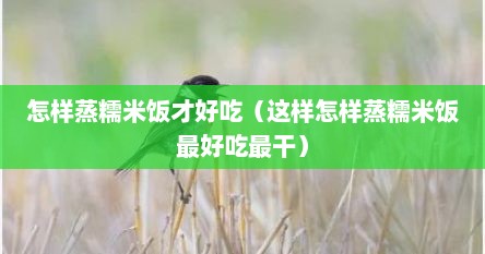 怎样蒸糯米饭才好吃（这样怎样蒸糯米饭最好吃最干）