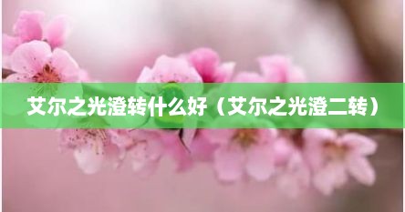 艾尔之光澄转什么好（艾尔之光澄二转）