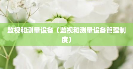 监视和测量设备（监视和测量设备管理制度）