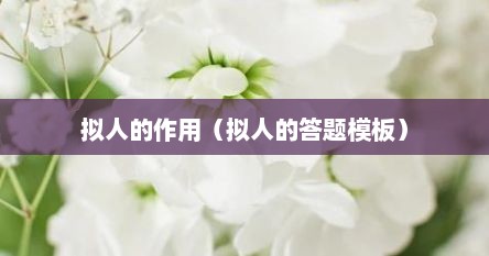 拟人的作用（拟人的答题模板）