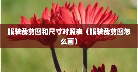 服装裁剪口诀尺寸（服装裁剪比例算法图片）