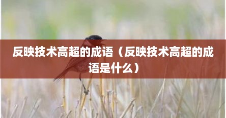 反映技术高超的成语（反映技术高超的成语是什么）