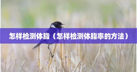 怎样检测体脂（怎样检测体脂率的方法）