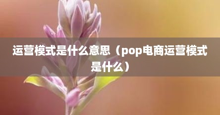 运营模式是什么意思（pop电商运营模式是什么）