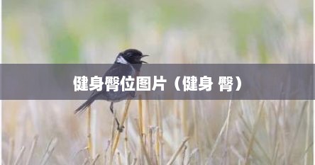 健身臀位图片（健身 臀）