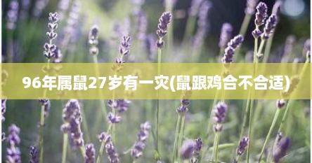96年属鼠27岁有一灾(鼠跟鸡合不合适)